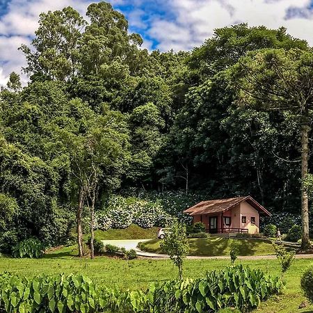 Pousada Pinhal Alto Nova Petropolis Exteriér fotografie