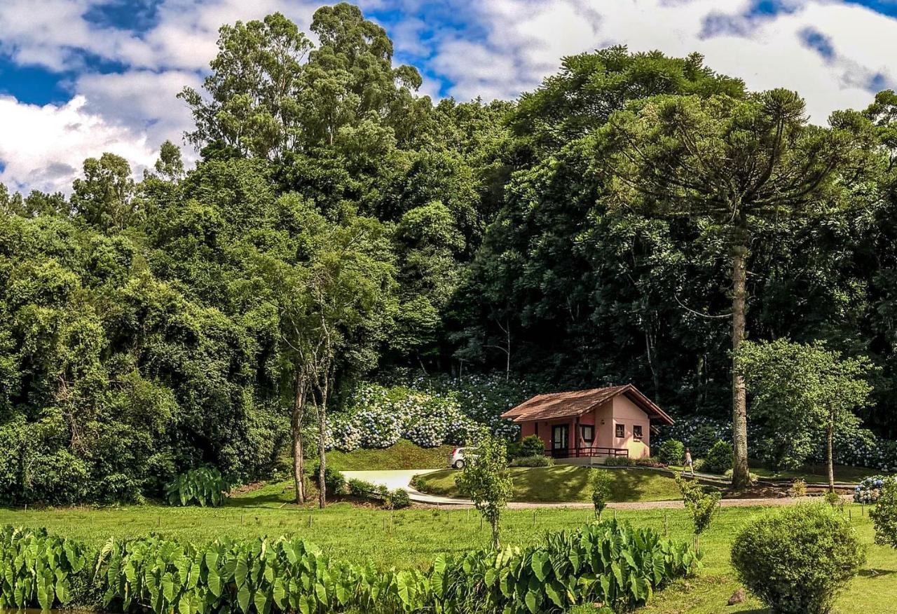 Pousada Pinhal Alto Nova Petropolis Exteriér fotografie